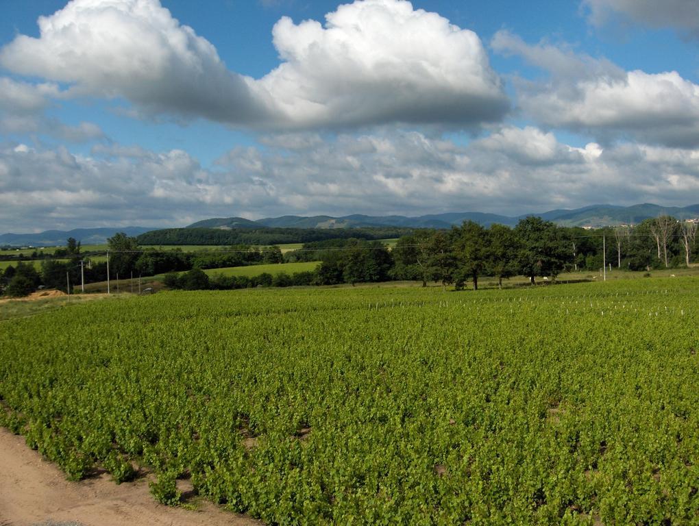 Apartamento Coeur De Beaujolais Corcelles-en-Beaujolais Exterior foto